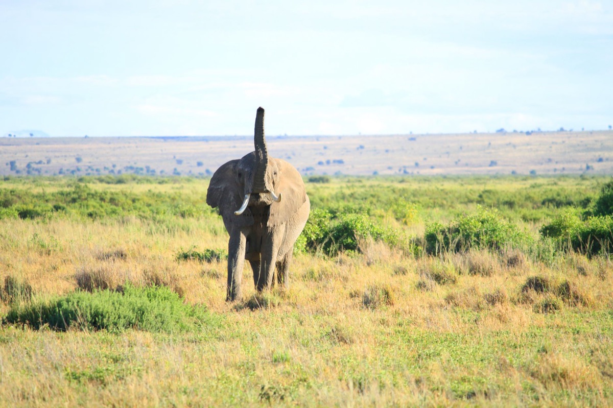 Camping in Kenya