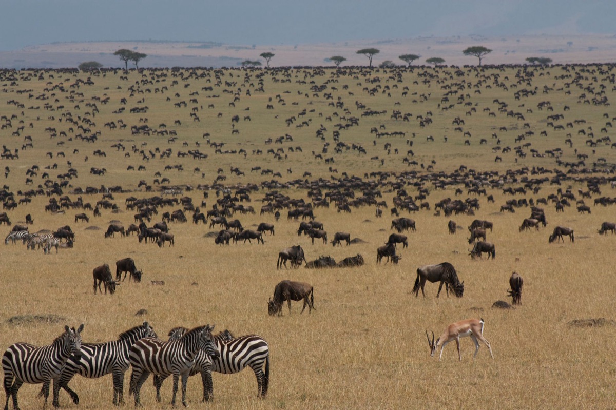 Kenya safari season map