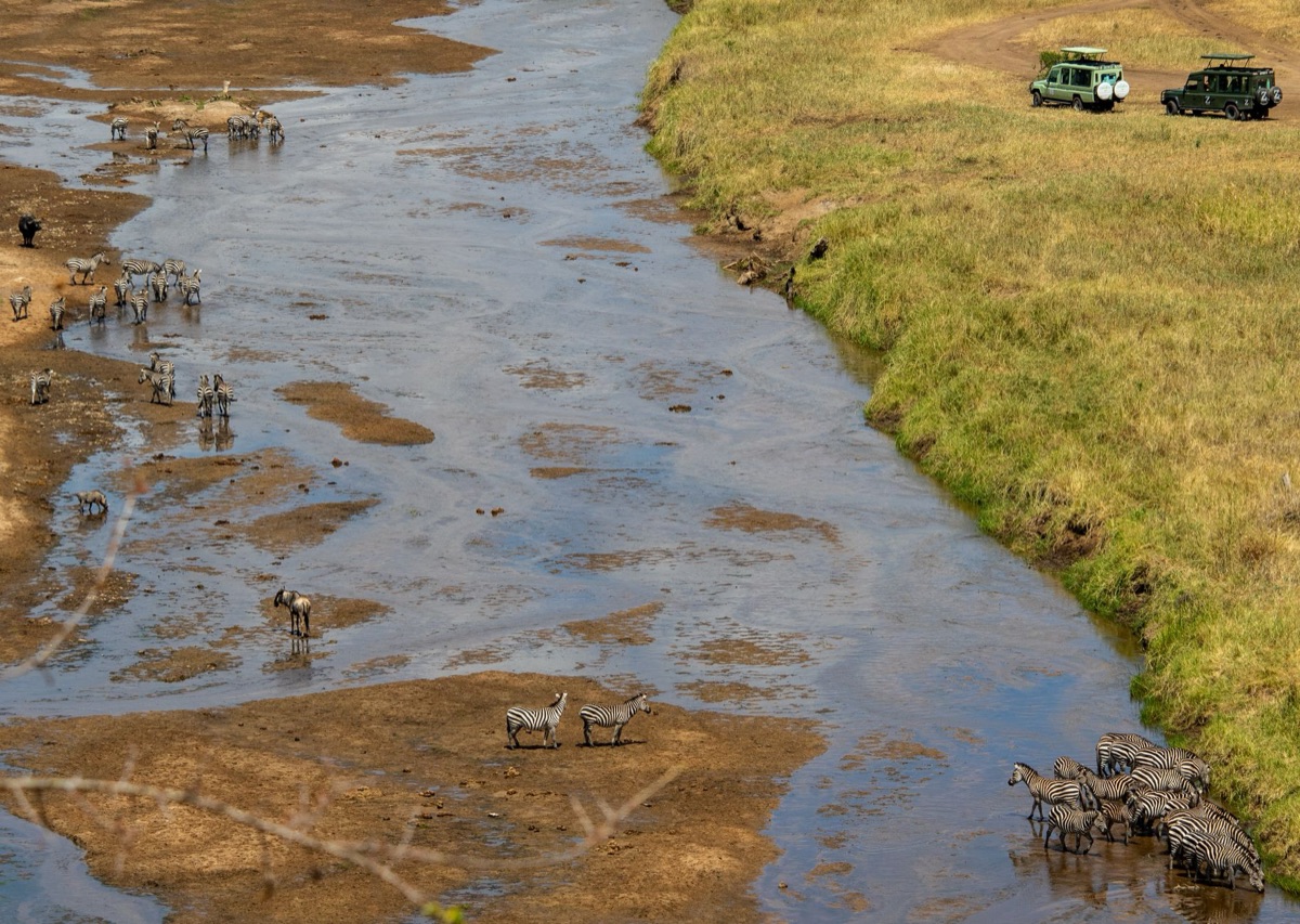 Serengeti migration path map