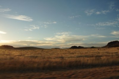 Serengeti: Saiba onde ver a Grande Migração em cada mês