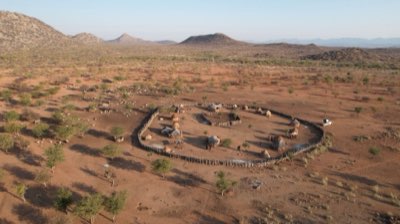 Safari Éxito: Estrategia para encontrar los 5 animales africanos
