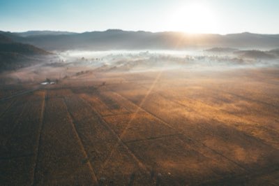Big Five : Guide pour croiser les 5 espèces sauvages africaines