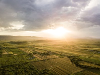 Safari Tanzania: Serengeti e oltre, un viaggio geologico unico