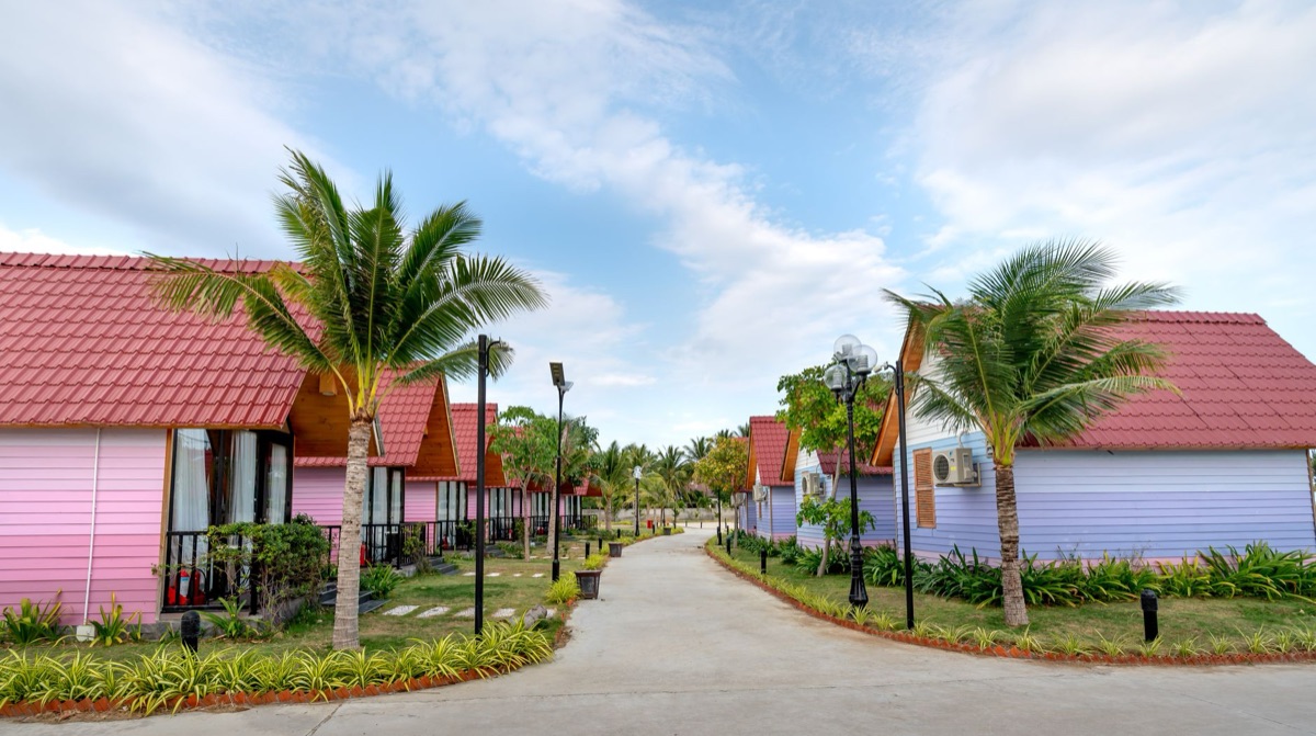 safari lodge exterior with palm trees