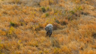 Safari: Elegir Lodge por gestión, no por lujo. 8 claves