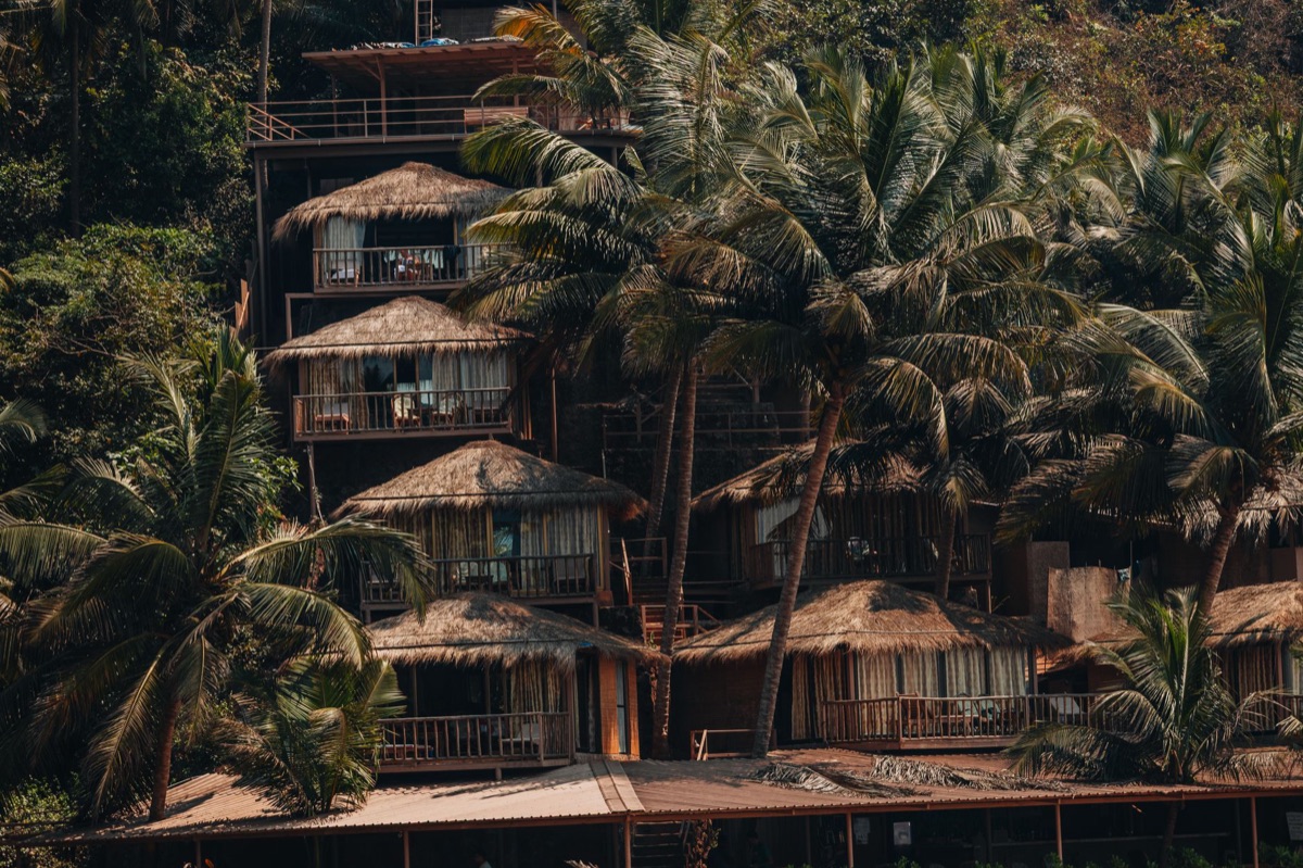 luxe safari lodge with palm trees