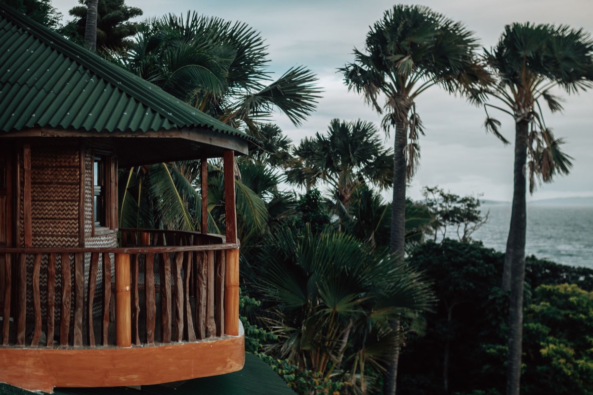 Safari Lodge 選項指南：讓旅程品質升級的秘訣