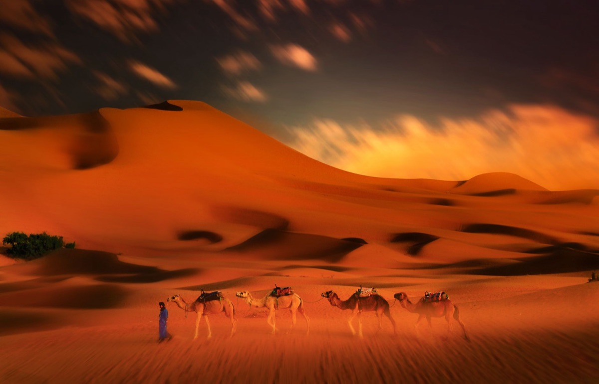 Morocco desert with dunes and a camel caravan