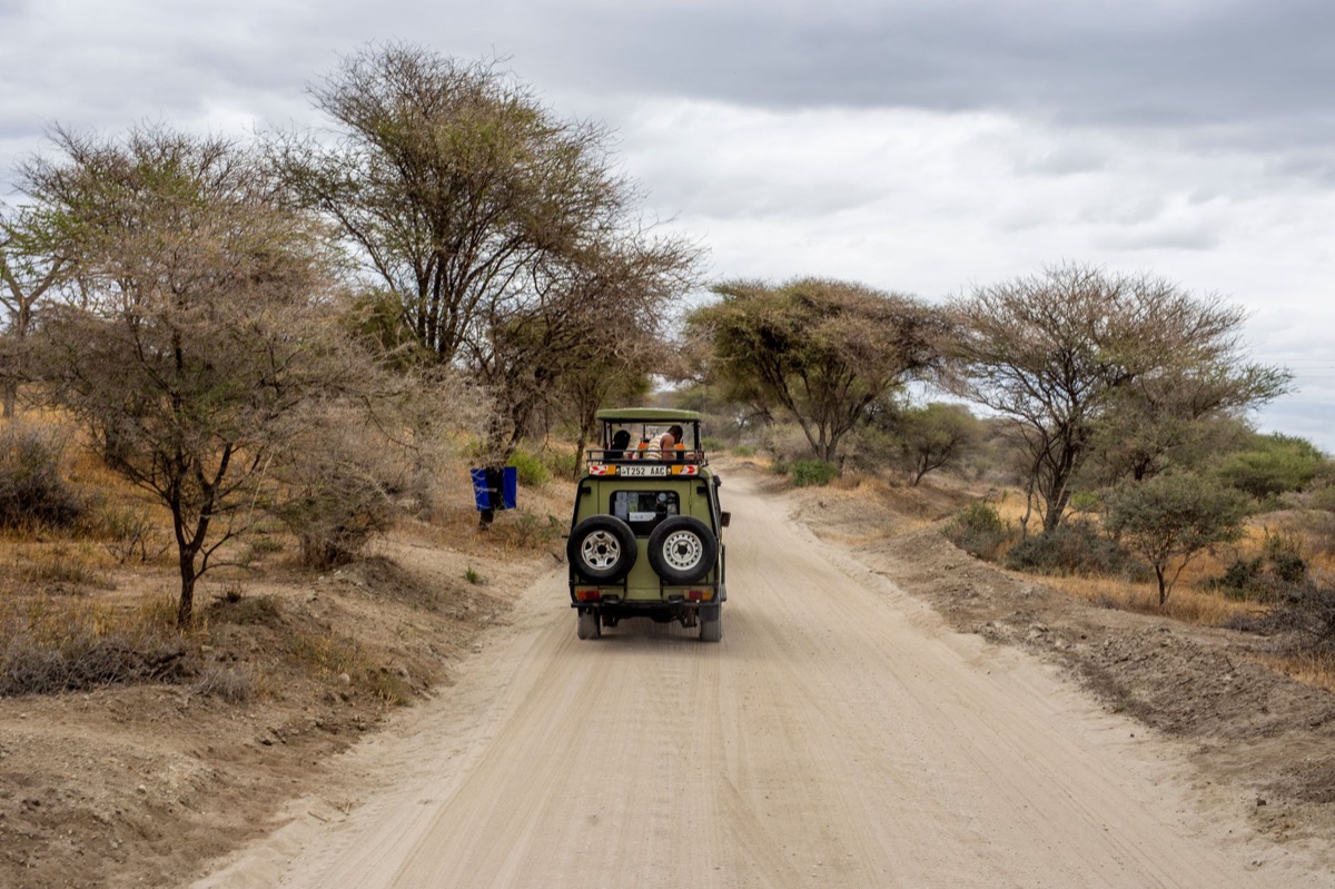 safari vehicle interior