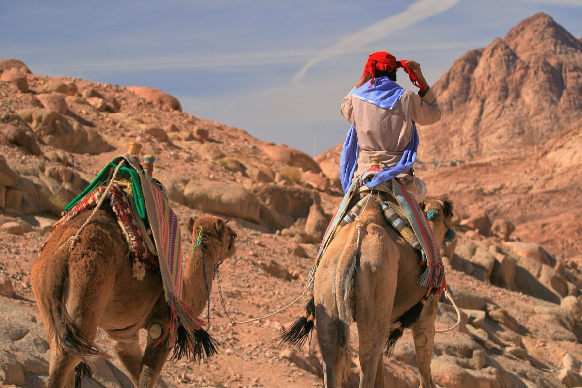 Un trekking con cammelli attraverso il deserto
