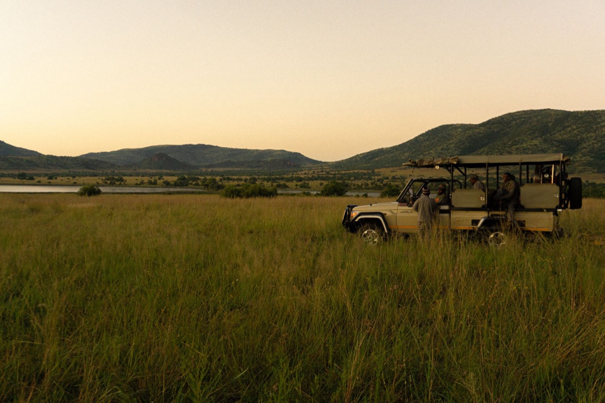Safari vehicle in Africa