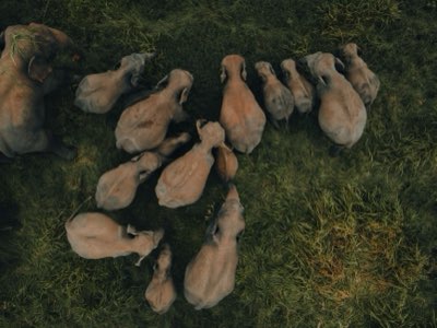 東非野生動物奇遇搭配摩洛哥文化之旅的極致規劃完整指南