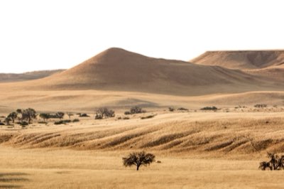 Caccia al ghepardo: Sfrutta l'alba e il tramonto per il successo