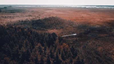 Cheetah spotten: Zoek naar geduld in Oost-Afrikaanse vlaktes