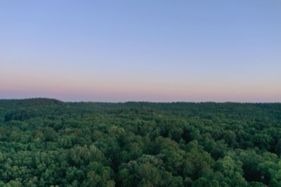 7 passos para rastrear o guepardo: dominando o habitat africano
