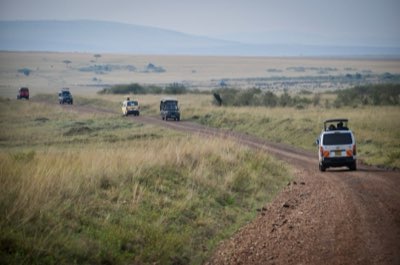Kenia vs Tansania: Budget, Kultur und die Big Five Begegnung