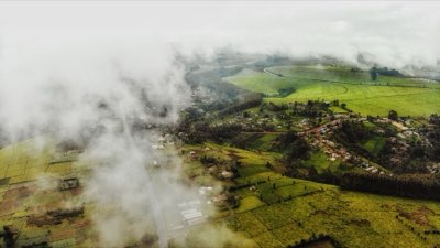 Safari Decision: 50-60 Characters to Find Your Ideal Trip