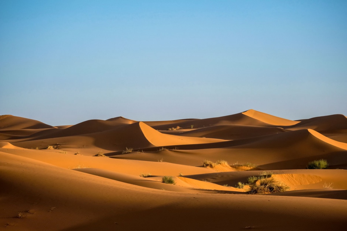 Moroccan Sahara Dunes