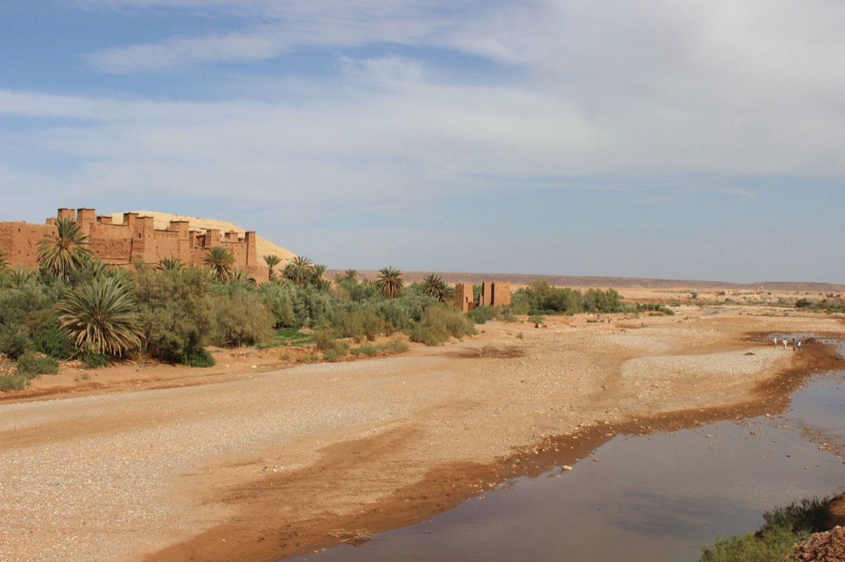 Oasis in Sahara Desert