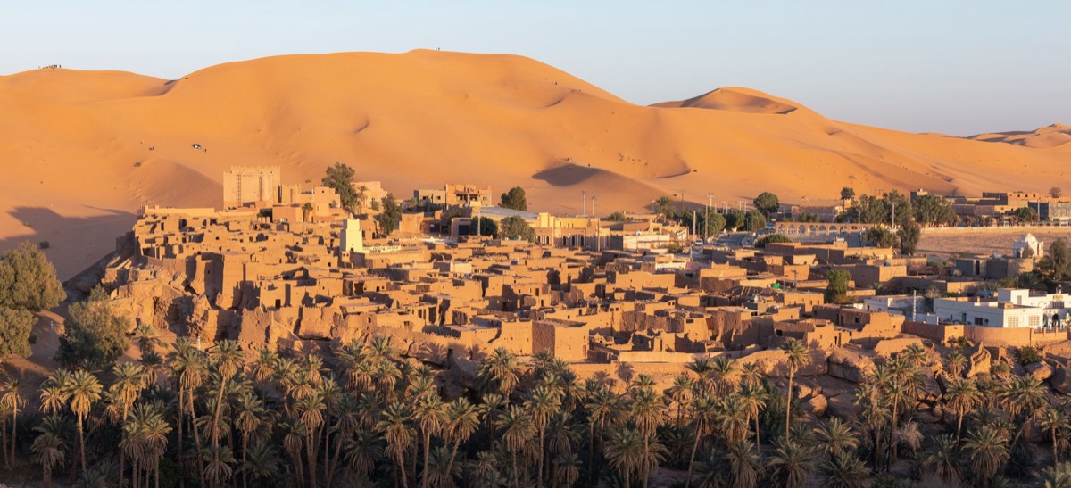 Oasis in Sahara Desert