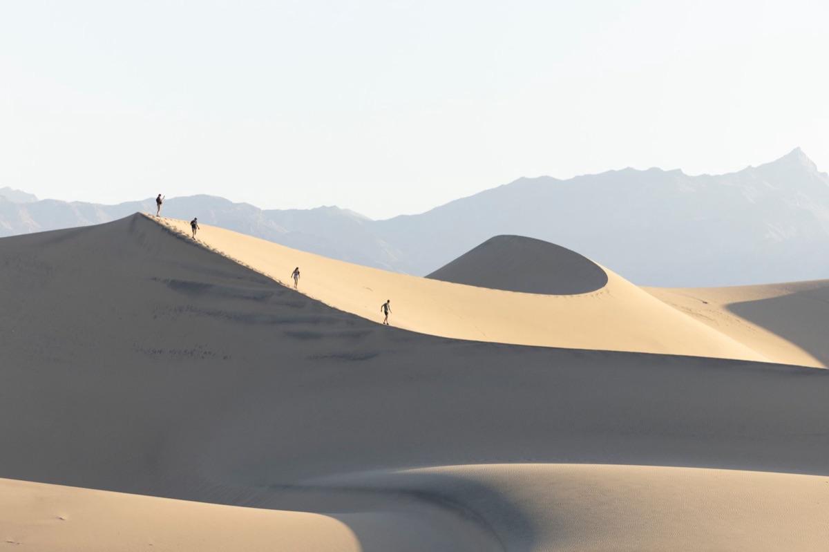 Sáhara: Dunes at sunset