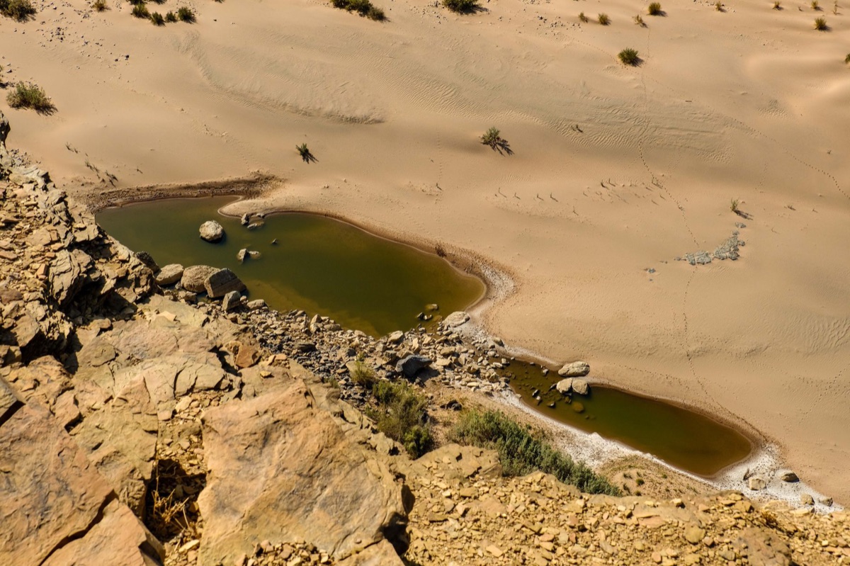 Sáhara: Oasis in desert
