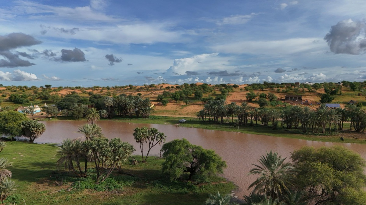 Oasis dans le désert de Sahara