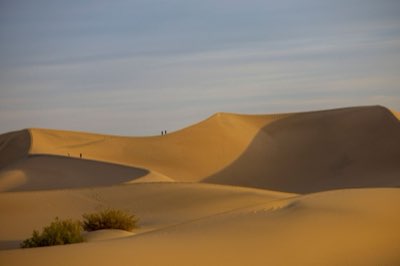 Sahara Marocco: 8 Giorni di Silenzio e Cultura Profonda