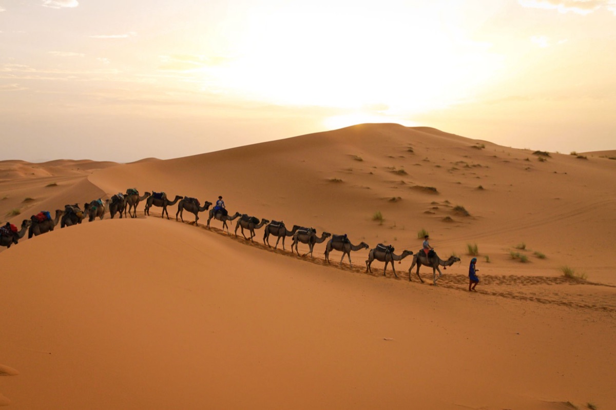 Sahara desert at sunrise