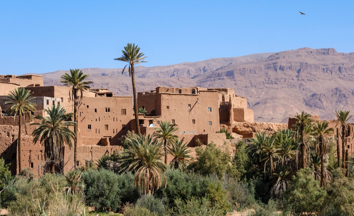Oasis in Sahara Desert