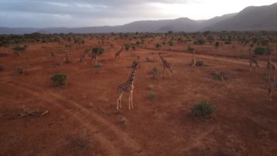 Locatie vs. Luxe: De Essentie van Uw Afrikaanse Basiscamp