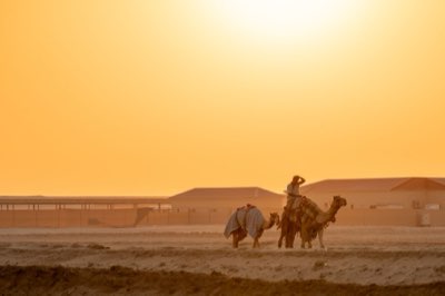 Sahara-Tourismus: Oasen vs. tiefe Überquerung – Ihre Wahl