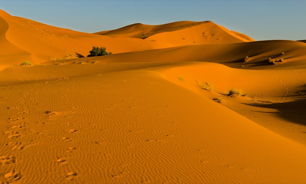 Sahara Desert at sunset