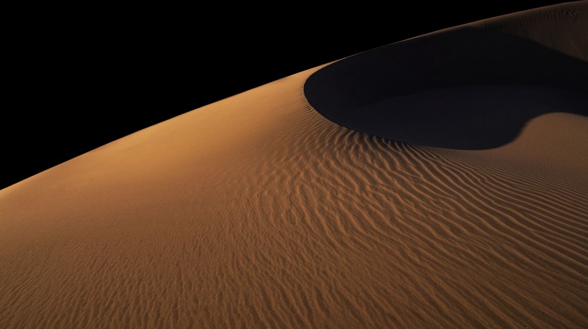 Sahara Desert dune at sunrise