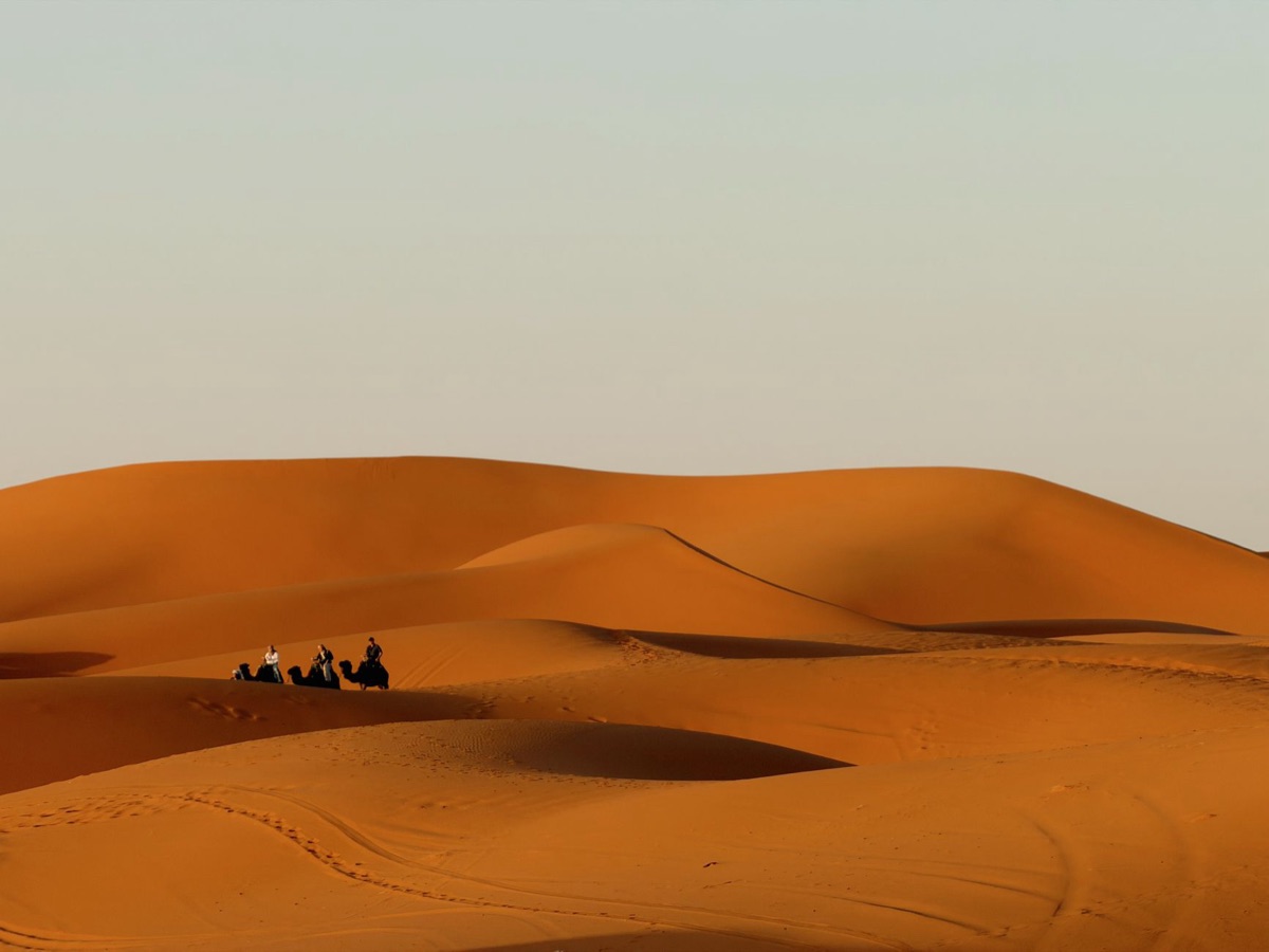 Deserto del Sahara al sorgere del sole