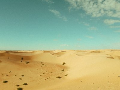 Sahara Expedities: 7 tot 21 Dagen Voor de Diepe Ervaring