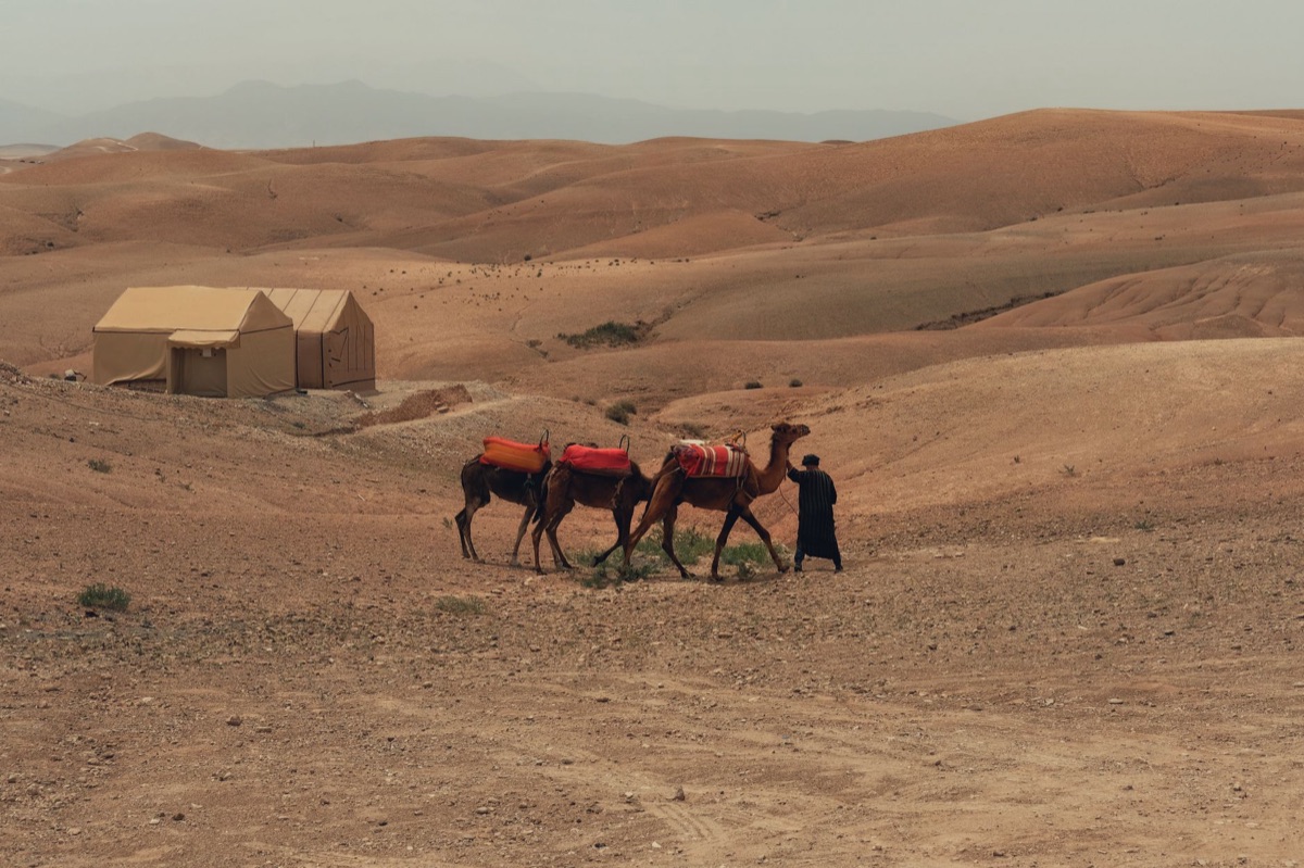 Sahara desert camp