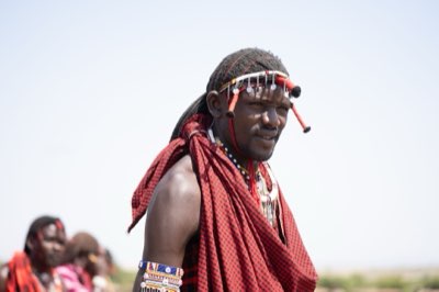 Masaï : Le bétail, pilier de survie depuis les plaines du Kenya