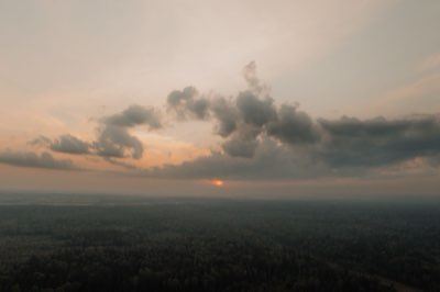 Big Five bis Wüste: Die 3 Afrikaregionen für Ihr Abenteuer