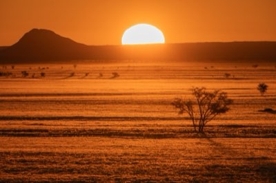 Serengeti vs Masai Mara: De Perfecte Locatie voor Migratie