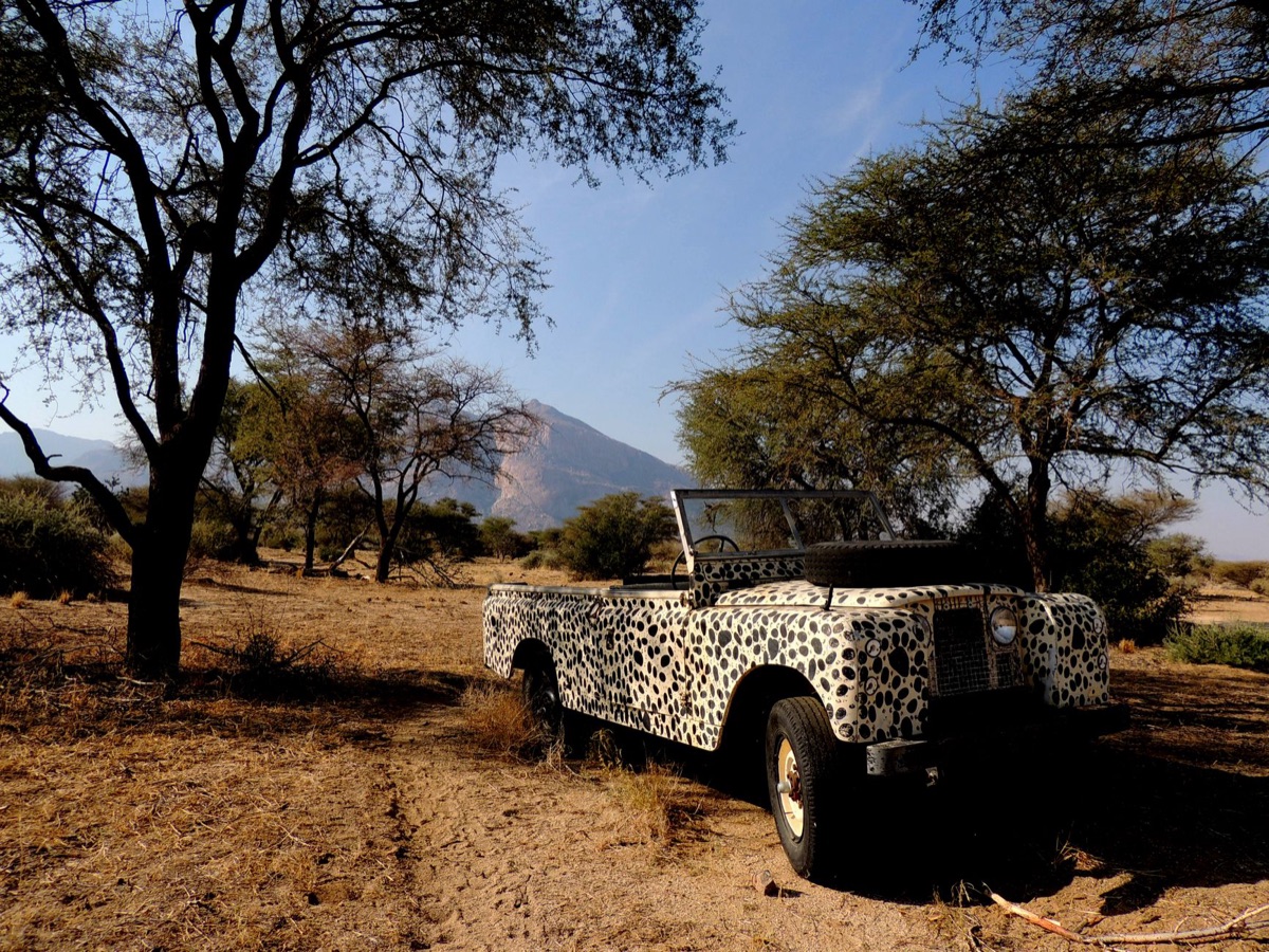 Safari voertuig dat door het savanna rijdt