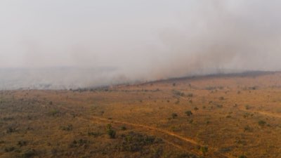 Safari Ontwerpen: De Beste Routes door Afrika's Wilde Hart